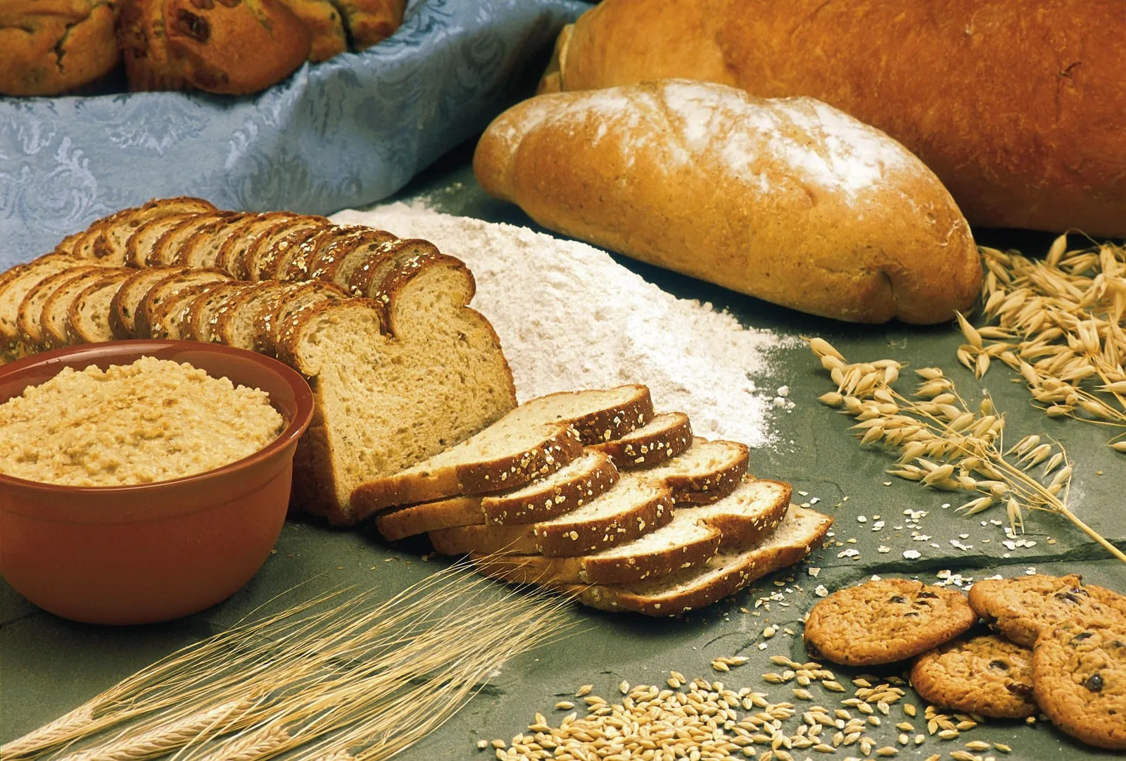 les glucides