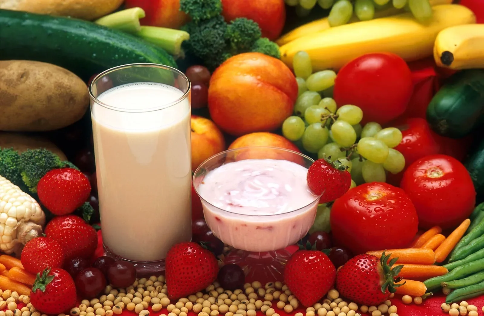 l'alimentation du sportif